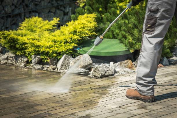 Best Fence Cleaning  in Peridot, AZ